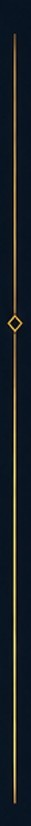 Diamond Divider (Vert)
